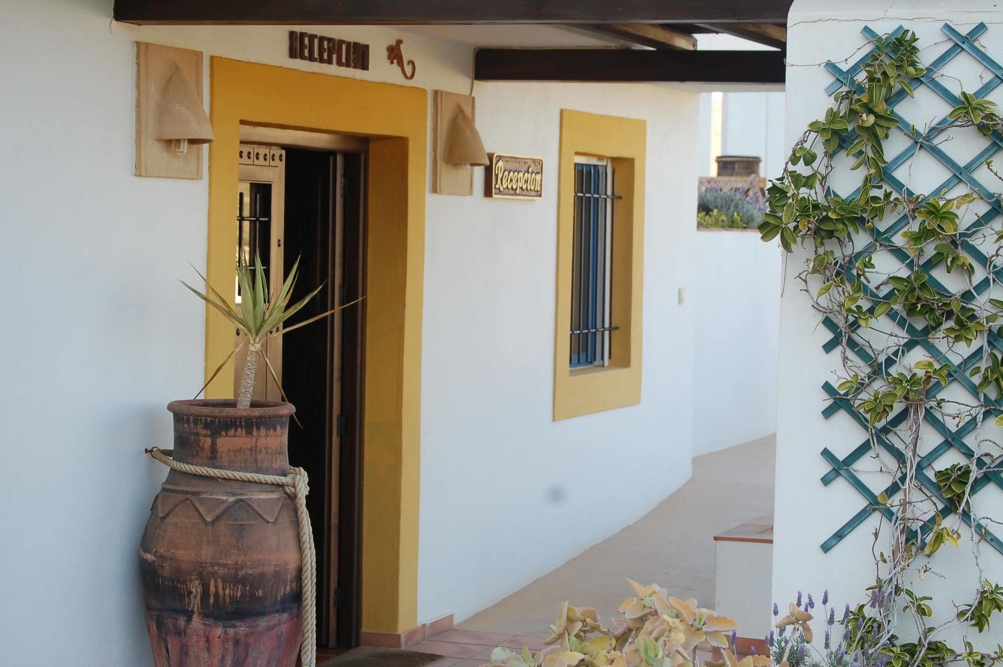 Hostal El Dorado San Jose  Εξωτερικό φωτογραφία